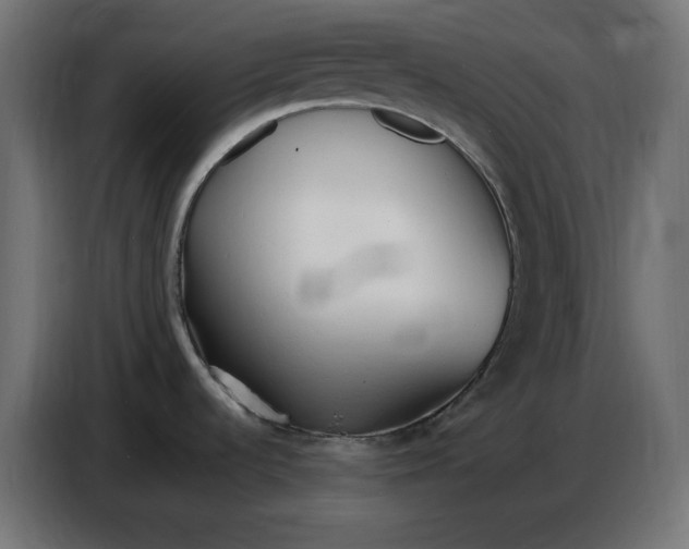 X0000086721536200705041318