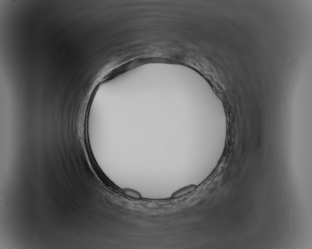 X0000086720003200705111604