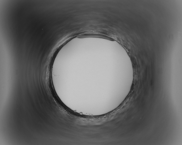 X0000086720005200705111604