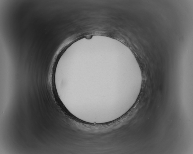 X0000086720006200705111604