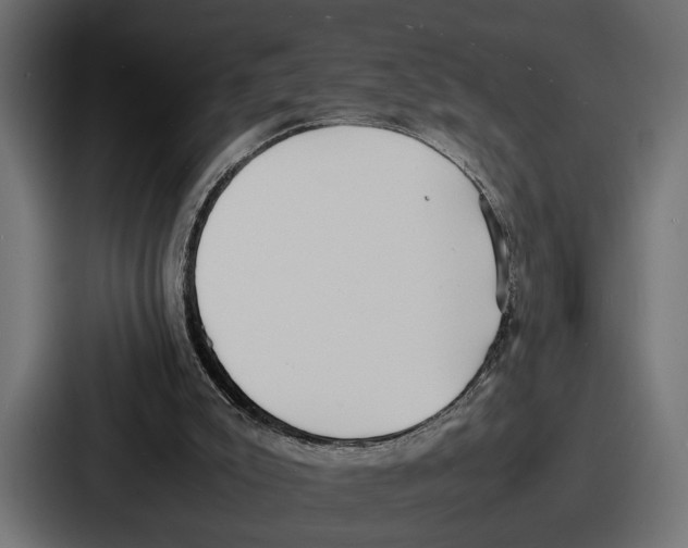 X0000086720007200705111604