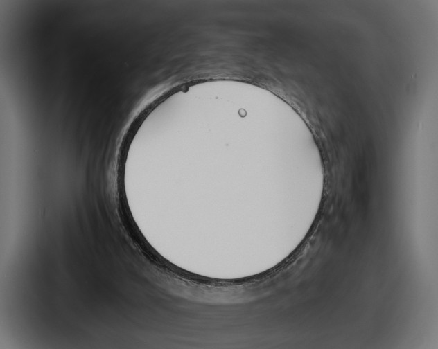 X0000086720008200705111604