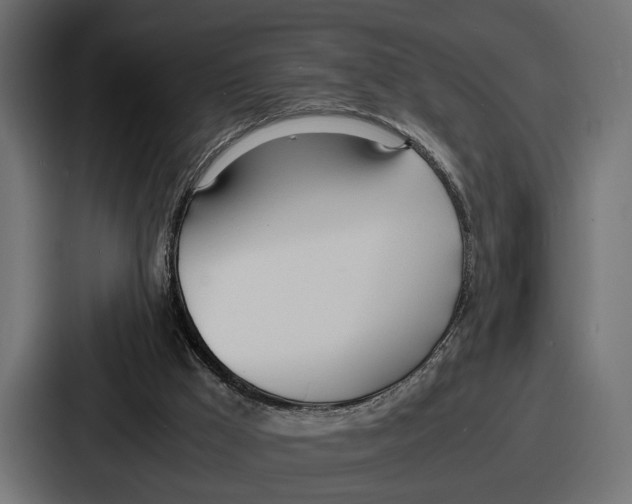 X0000086720009200705111604