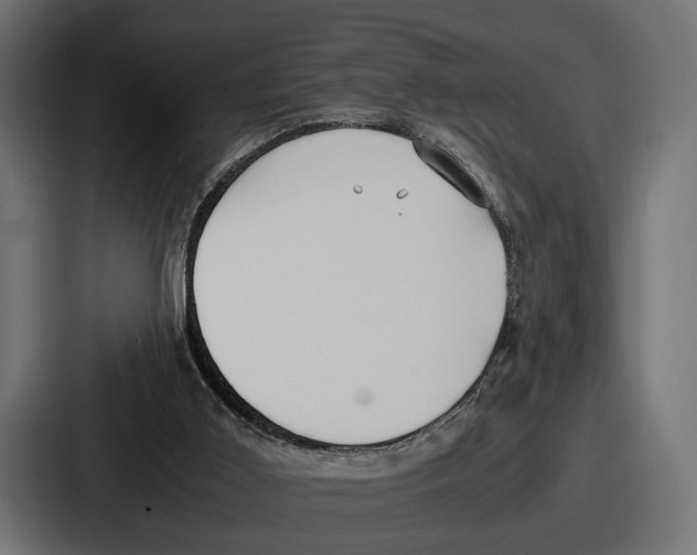 X0000086720011200705111604