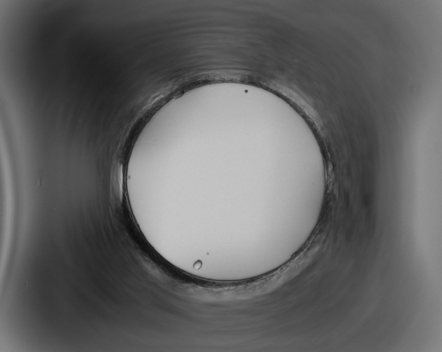 X0000086720013200705111604