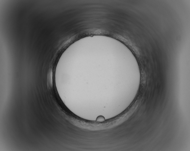 X0000086720014200705111604