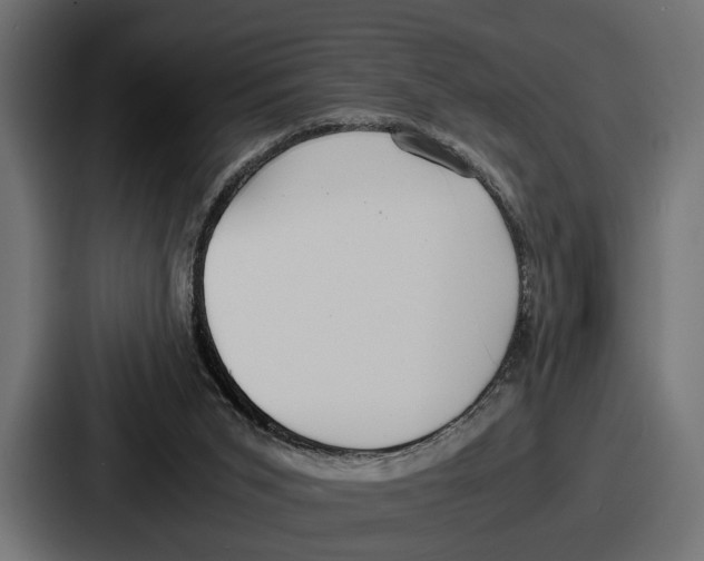 X0000086720015200705111604