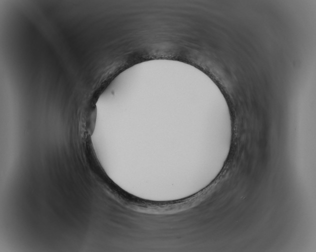 X0000086720017200705111604