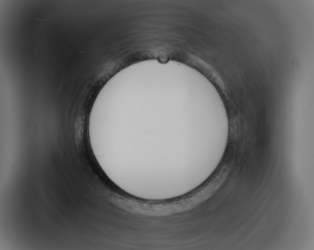 X0000086720018200705111604