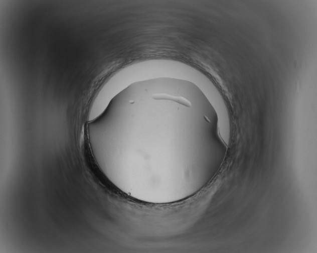 X0000086720019200705111604