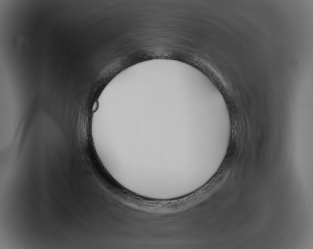 X0000086720023200705111604