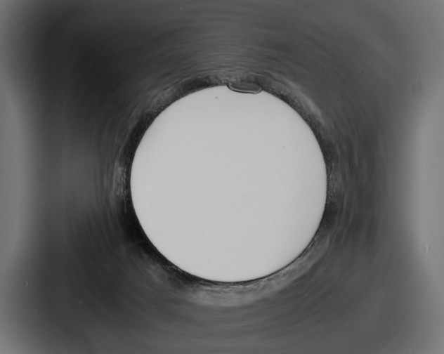 X0000086720025200705111604