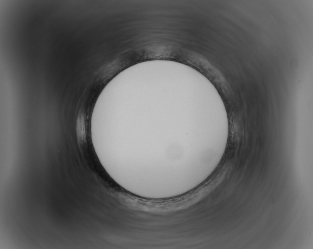 X0000086720026200705111604