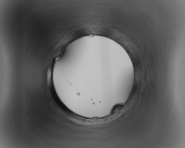 X0000086720027200705111604