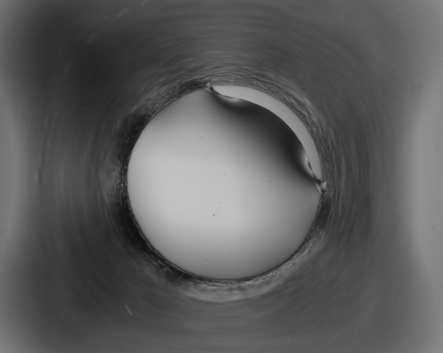 X0000086720029200705111604