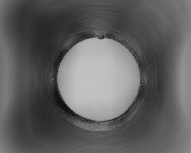 X0000086720032200705111604