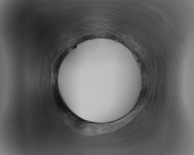 X0000086720033200705111604