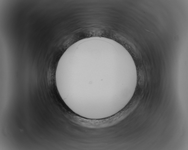 X0000086720034200705111604