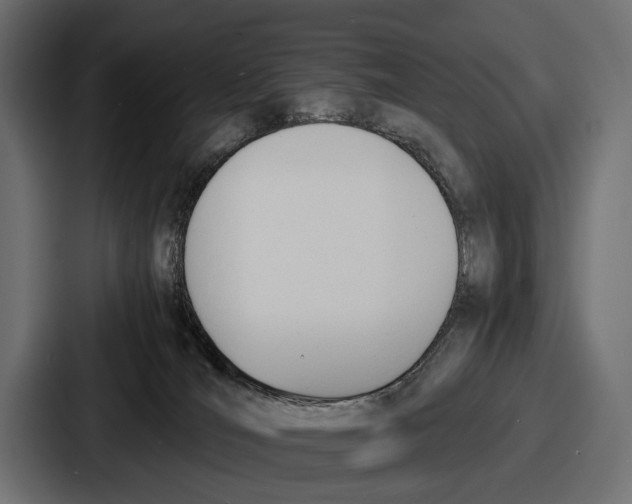 X0000086720036200705111604