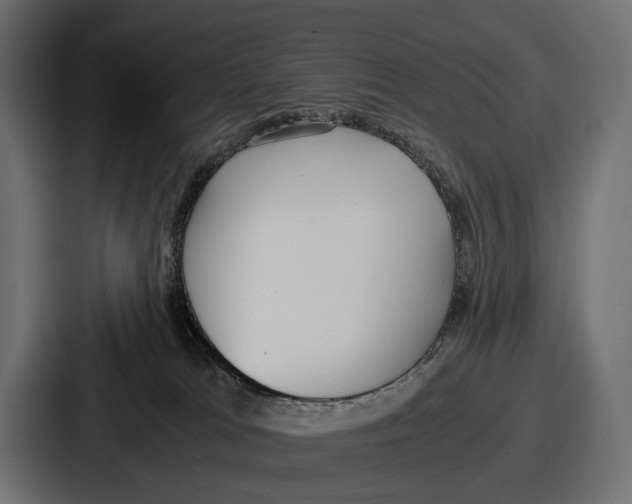 X0000086720037200705111604