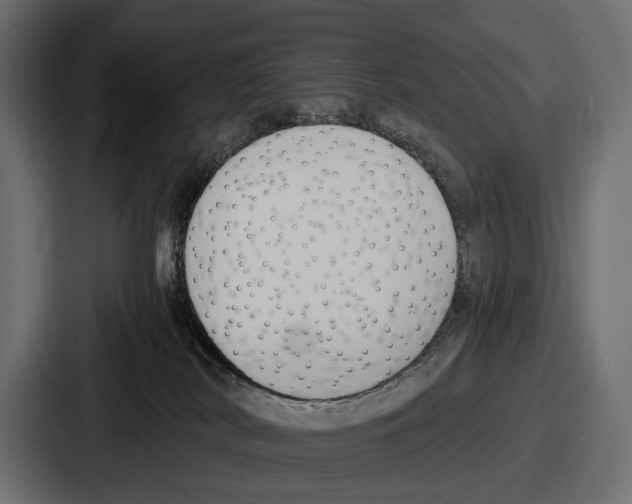 X0000086720038200705111604