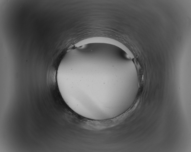 X0000086720041200705111604