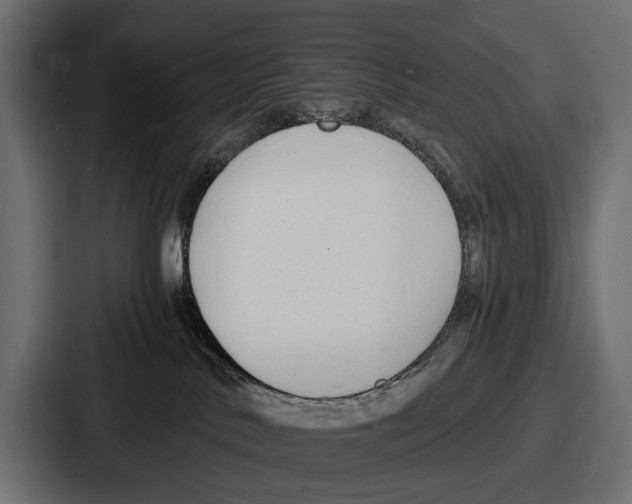 X0000086720042200705111604