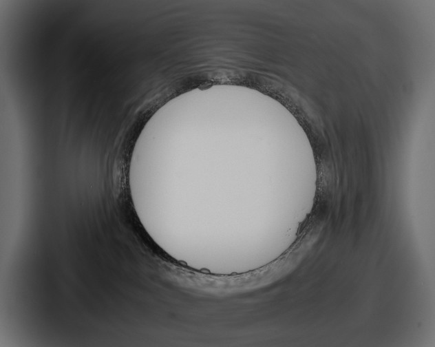 X0000086720043200705111603