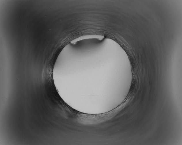 X0000086720045200705111603