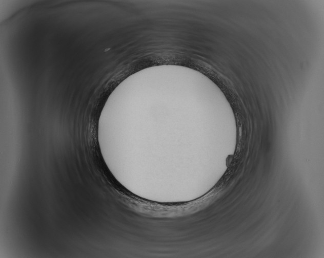 X0000086720048200705111603