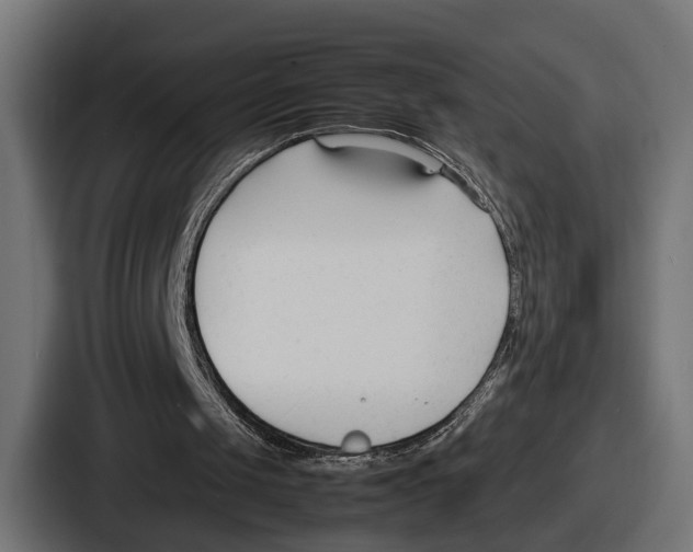 X0000086720049200705111603