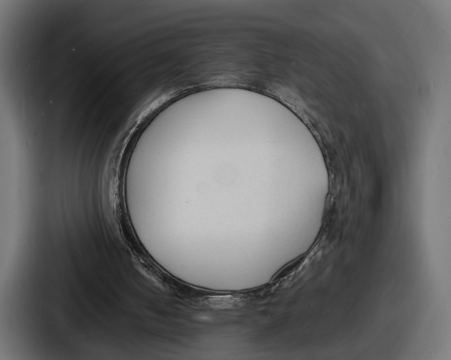 X0000086720050200705111603