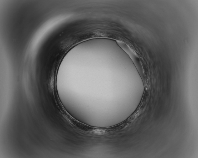 X0000086720052200705111603