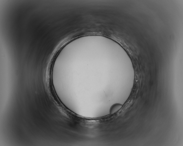 X0000086720053200705111603