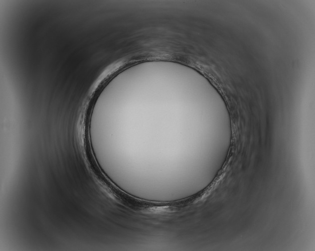 X0000086720054200705111603