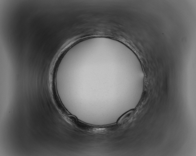 X0000086720055200705111603