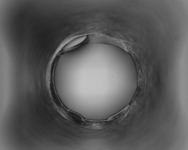 X0000086720056200705111603