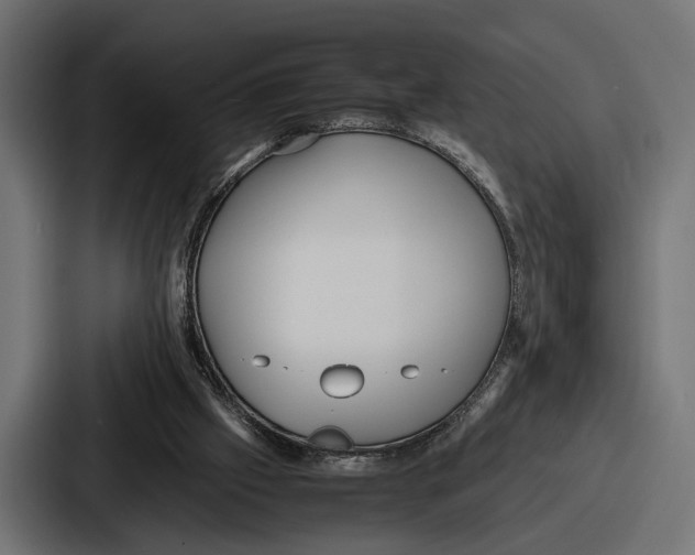 X0000086720057200705111603