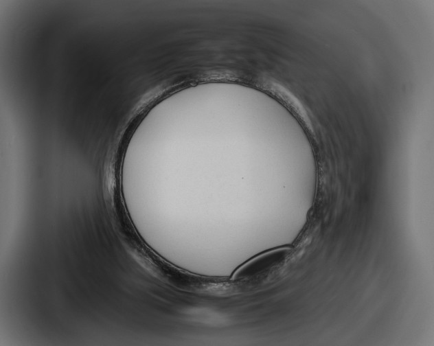 X0000086720059200705111603