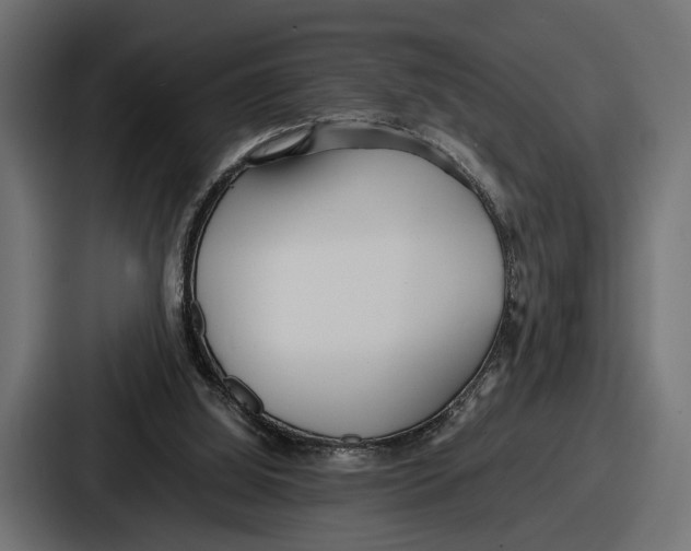 X0000086720060200705111603