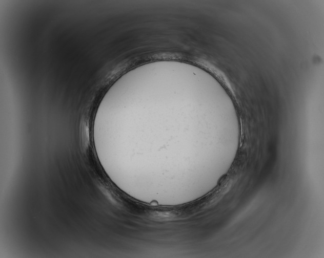 X0000086720061200705111603