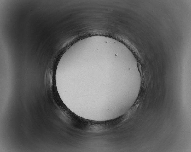 X0000086720062200705111603