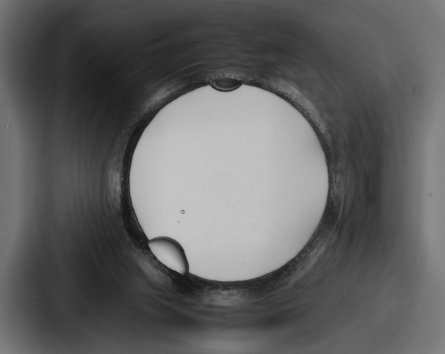 X0000086720063200705111603