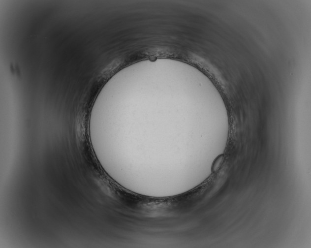 X0000086720065200705111603