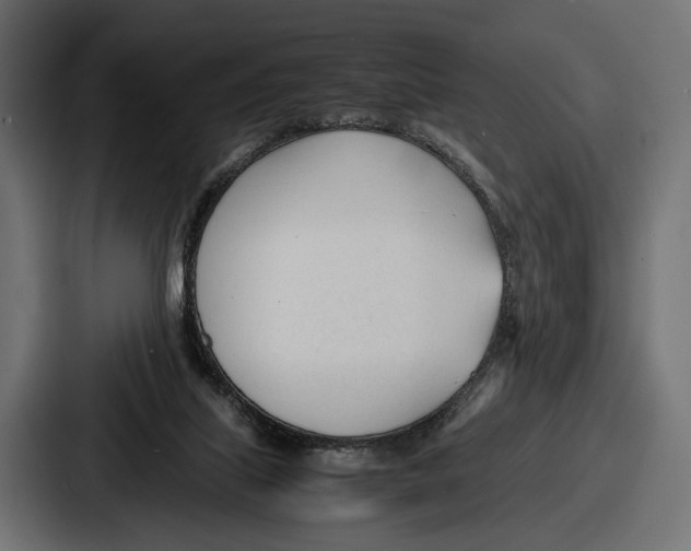 X0000086720067200705111603