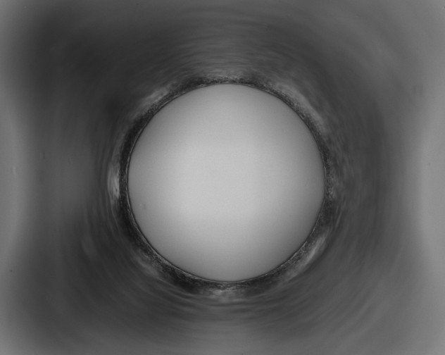 X0000086720068200705111603