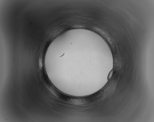 X0000086720069200705111603