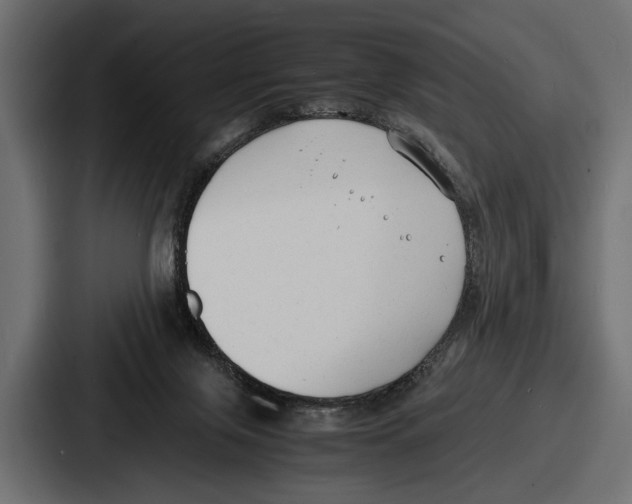 X0000086720071200705111603