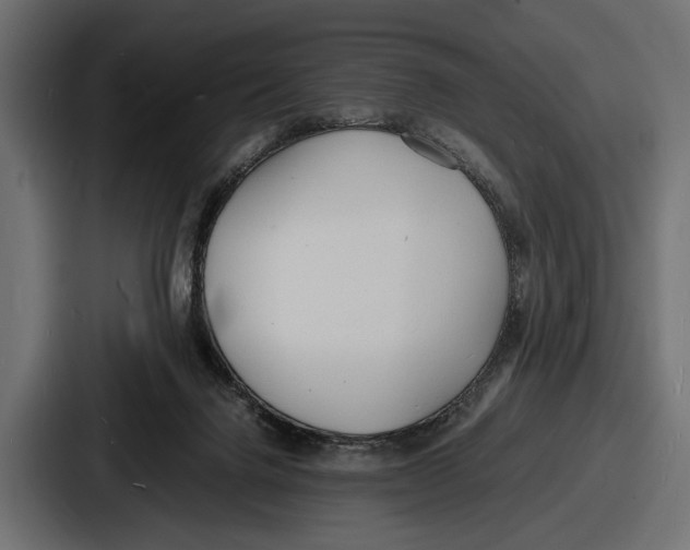 X0000086720072200705111603