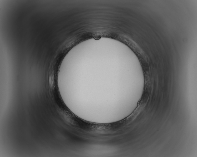 X0000086720074200705111603